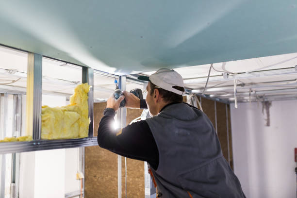 Best Specialized Insulation Services in River Hills, WI